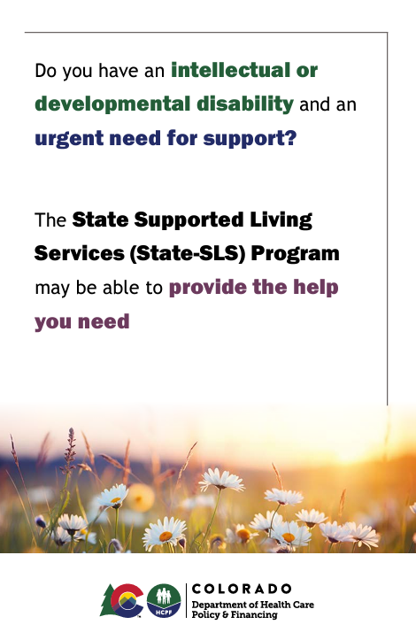 State Supported Living Services (State SLS) Program Brochure