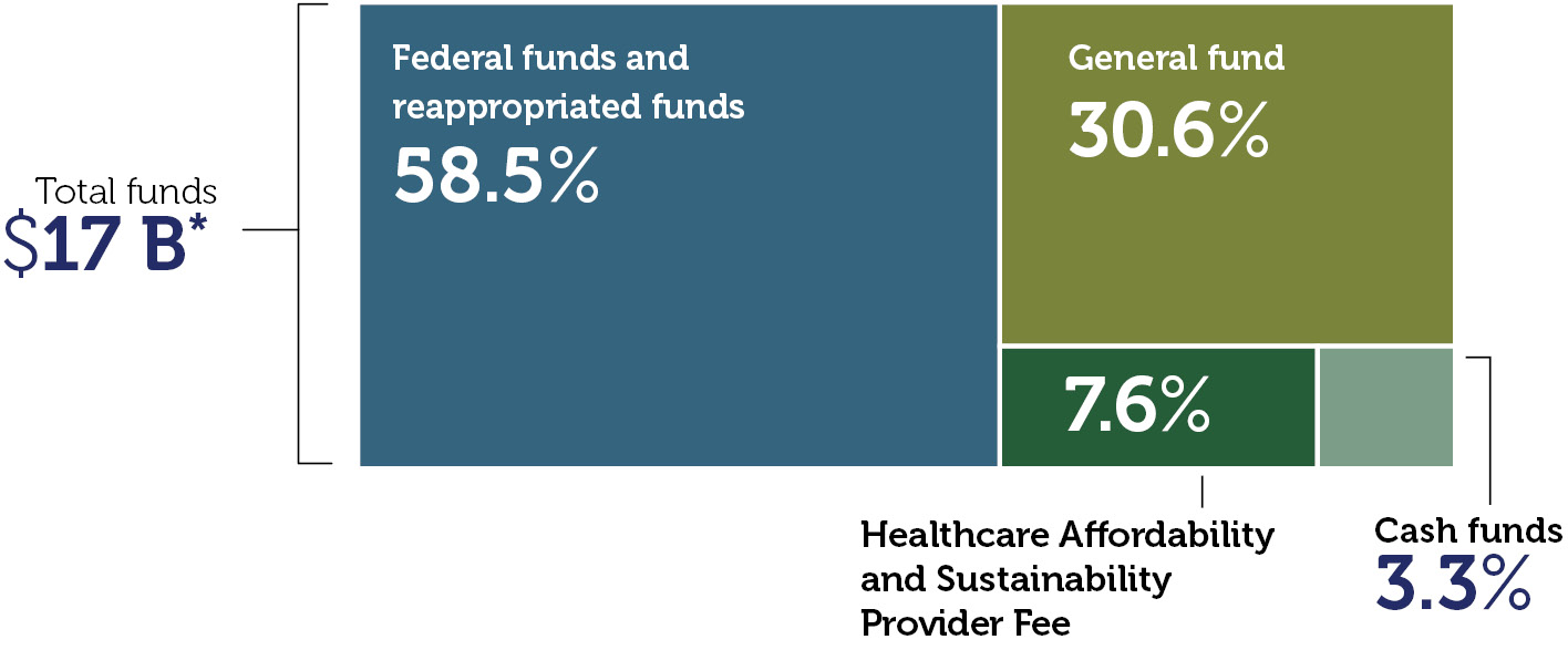 Tree map of expenditures with federal funds and reappropriated funds at 58.5%, general fund 30.6%, Healthcare Affordability and Sustainability Provider Fee 7.6% and cash funds 3.3% with total funds at $17 billion.
