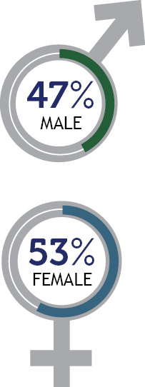 Member breakdown based on sex with a male icon showing 47% and a female icon showing 53%.