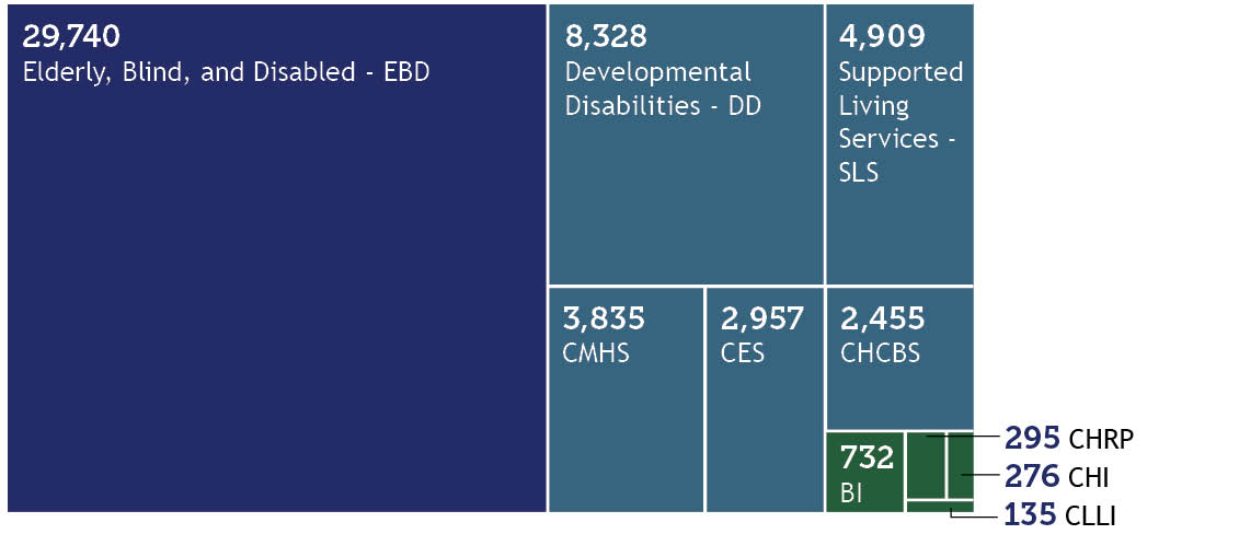 Tree map showing breakdown of members on waivers with the largest quantity at 29,740 on EBD, 8,328 DD, 4,909 SLS, 3,835 CMHS, 2,957 CES, 2,455 CHCBS and 732 BI.