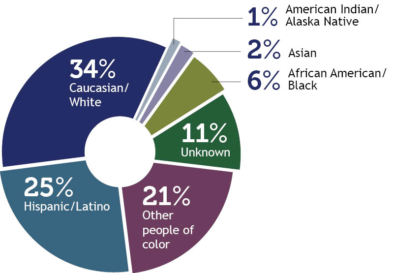 Pie chart showing member breakdown by race with Caucasian/white at 34%, Hispanic/Latino 25%,  other people of color 21%, unknown 11%, African American/Black 76%, Asian 2% and American Indian/Alaska Native 1%.